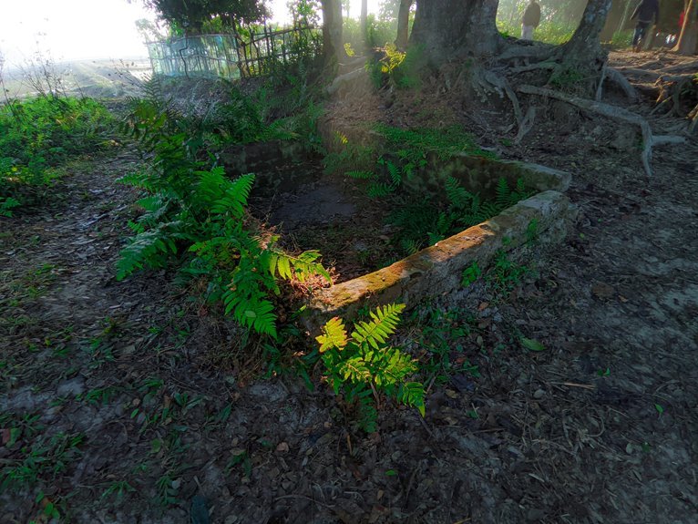 increase instagram follower count