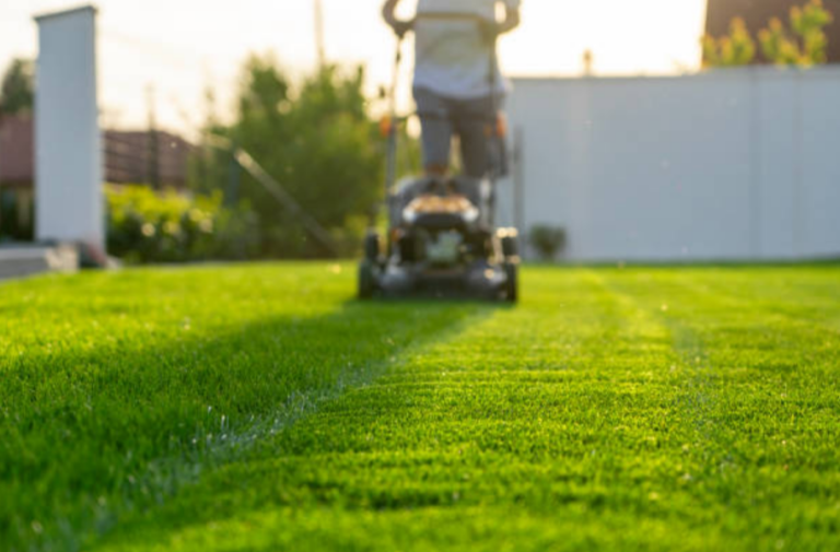Can Aqua Force Reduce Lawn Watering Costs for Perth Homeowners?